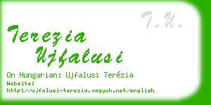 terezia ujfalusi business card